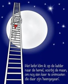 ladder maan